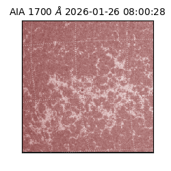 saia - 2026-01-26T08:00:28.745000