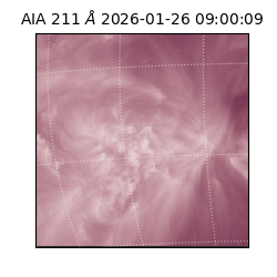 saia - 2026-01-26T09:00:09.622000