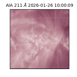 saia - 2026-01-26T10:00:09.640000