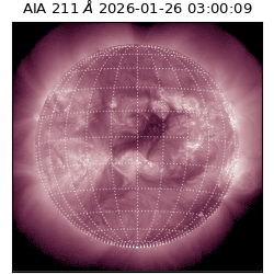 saia - 2026-01-26T03:00:09.626000