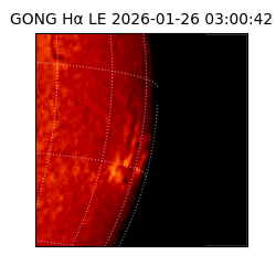 gong - 2026-01-26T03:00:42