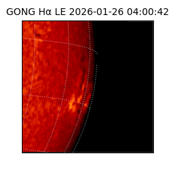 gong - 2026-01-26T04:00:42