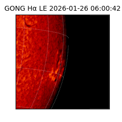 gong - 2026-01-26T06:00:42