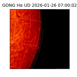 gong - 2026-01-26T07:00:02