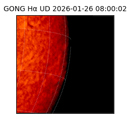 gong - 2026-01-26T08:00:02