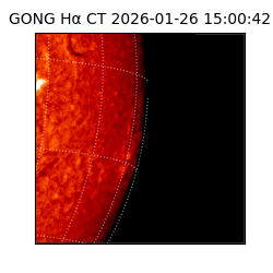 gong - 2026-01-26T15:00:42