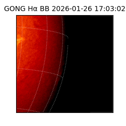 gong - 2026-01-26T17:03:02