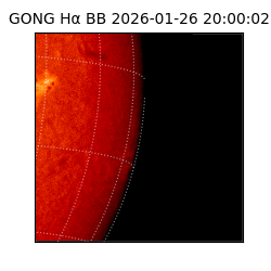 gong - 2026-01-26T20:00:02