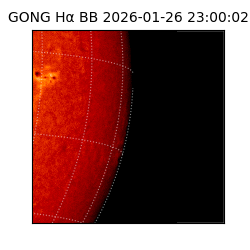 gong - 2026-01-26T23:00:02