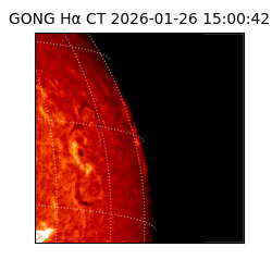 gong - 2026-01-26T15:00:42