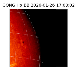 gong - 2026-01-26T17:03:02