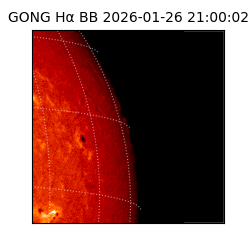 gong - 2026-01-26T21:00:02