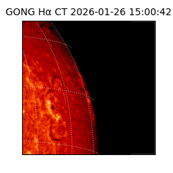 gong - 2026-01-26T15:00:42