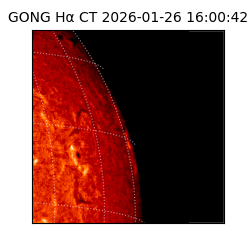gong - 2026-01-26T16:00:42