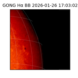 gong - 2026-01-26T17:03:02