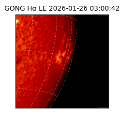 gong - 2026-01-26T03:00:42