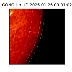 gong - 2026-01-26T09:01:02
