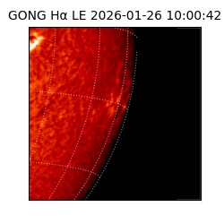 gong - 2026-01-26T10:00:42