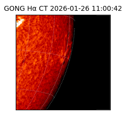gong - 2026-01-26T11:00:42