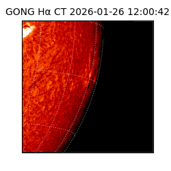 gong - 2026-01-26T12:00:42