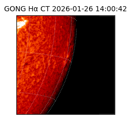 gong - 2026-01-26T14:00:42