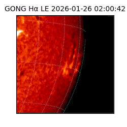 gong - 2026-01-26T02:00:42