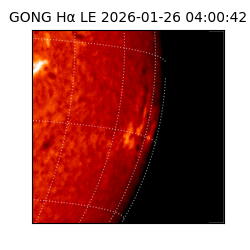 gong - 2026-01-26T04:00:42