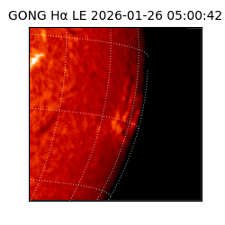 gong - 2026-01-26T05:00:42