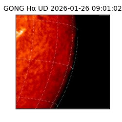 gong - 2026-01-26T09:01:02