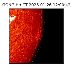 gong - 2026-01-26T12:00:42