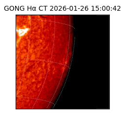 gong - 2026-01-26T15:00:42
