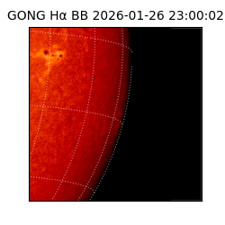 gong - 2026-01-26T23:00:02