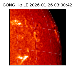 gong - 2026-01-26T03:00:42