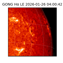 gong - 2026-01-26T04:00:42