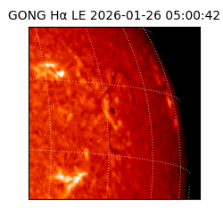 gong - 2026-01-26T05:00:42