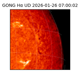 gong - 2026-01-26T07:00:02