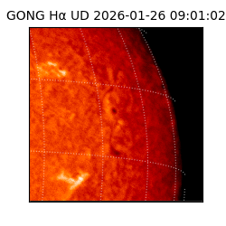 gong - 2026-01-26T09:01:02