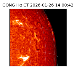 gong - 2026-01-26T14:00:42