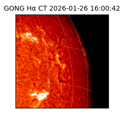 gong - 2026-01-26T16:00:42