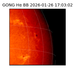 gong - 2026-01-26T17:03:02