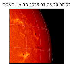 gong - 2026-01-26T20:00:02