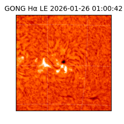 gong - 2026-01-26T01:00:42