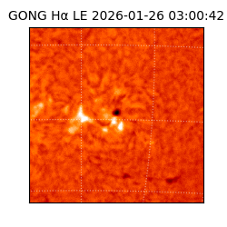 gong - 2026-01-26T03:00:42