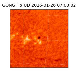 gong - 2026-01-26T07:00:02