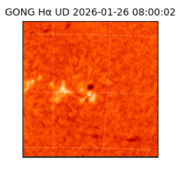 gong - 2026-01-26T08:00:02