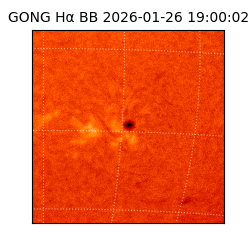 gong - 2026-01-26T19:00:02