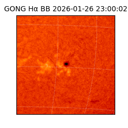 gong - 2026-01-26T23:00:02