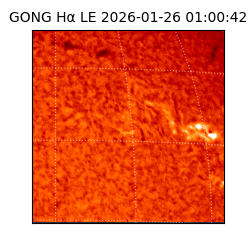 gong - 2026-01-26T01:00:42