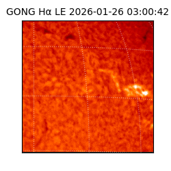 gong - 2026-01-26T03:00:42