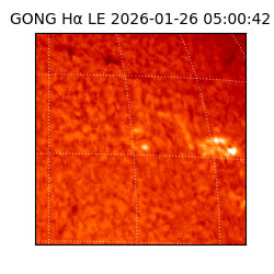 gong - 2026-01-26T05:00:42